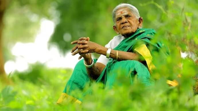 Saalumarada thimmakka in kannada